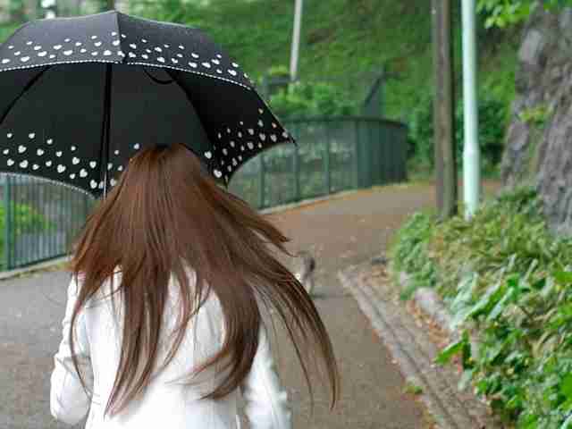 雨傘　女性